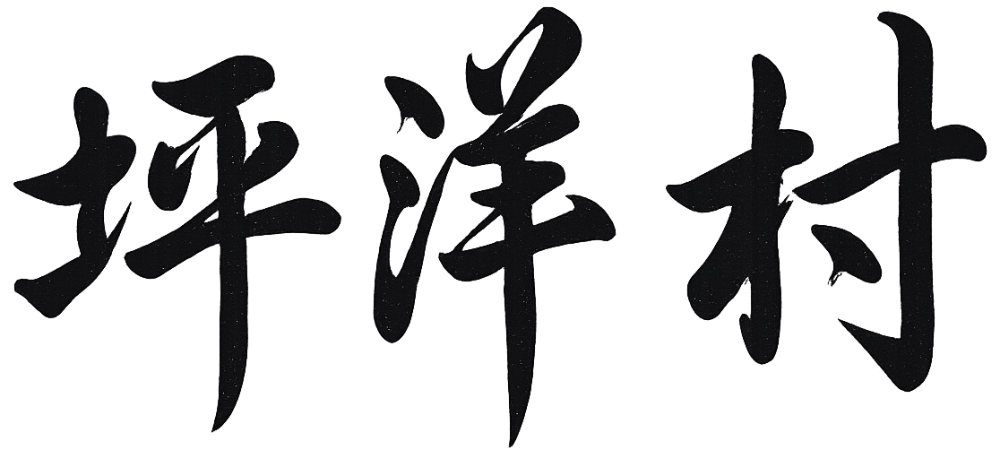 坪洋村